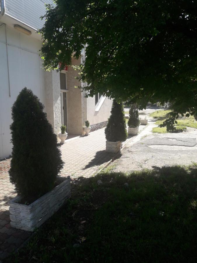חונדוארה Hostel Paltinis מראה חיצוני תמונה